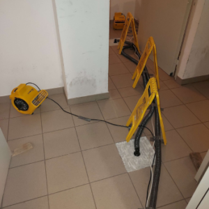 Dämmschichttrocknung (3)